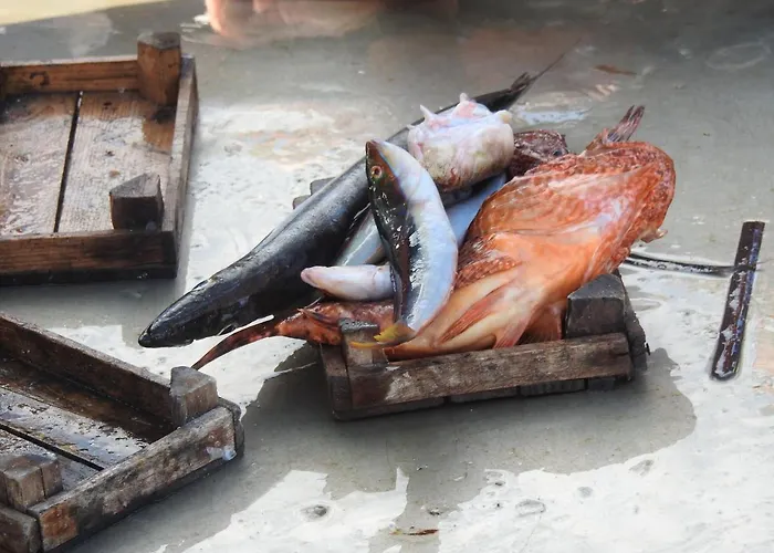 Leonardo Apartamento *